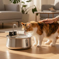 36RY™ Fountain Stainless Steel Pet Water Feeder 4L Automatic